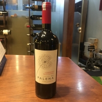 Vang chile Palena nhập khẩu