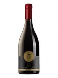 RƯỢU VANG TORO D'ORO SUPER PREMIUM CABERNET SAUVIGNON BÁN TẠI TP HỒ CHÍ MINH