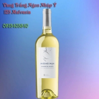 Vang Trắng Ngon Nhập Ý 125 Malvasia