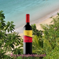 Rượu vang đỏ nhập khẩu chile HALCON CABERNET SAUVIGNON