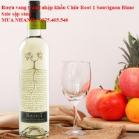 Rượu vang trắng nhập khẩu Chile Root 1 Sauvignon Blanc Sale sập sàng 