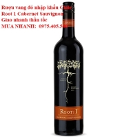 Rượu vang đỏ nhập khẩu Chile Root 1 Cabernet Sauvignon Giao nhanh thần tốc 