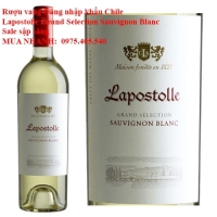 Rượu vang trắng nhập khẩu Chile Lapostolle Grand Selection Sauvignon Blanc Sale sập sàng 