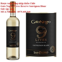 Rượu vang trắng nhập khẩu Chile Gato Negro 9 Lives Reserve Sauvignon Blanc Sale sập sàng 