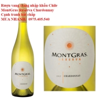 Rượu vang trắng nhập khẩu Chile MontGras Reserva Chardonnay Cạnh tranh bất chấp