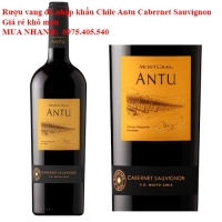 Rượu vang đỏ nhập khẩu Chile Antu Cabernet Sauvignon Giá rẻ khô máu 