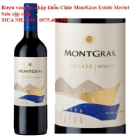 Rượu vang đỏ nhập khẩu Chile MontGras Estate Merlot Sale sập sàng 