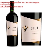 Rượu vang đỏ nhập khẩu Chile Cien 100 Carignan Sale sập sàng 