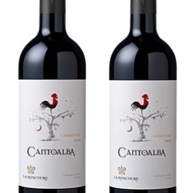 rượu vang Cantoalba Cabernet Sauvignon 2015