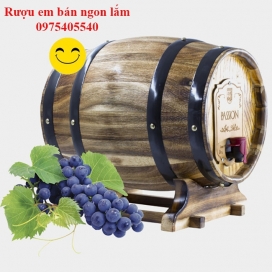 Rượu vang đỏ nhập khẩu Chile Passion 3 lít trống gỗ