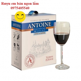 Rượu vang đỏ nhập khẩu Pháp Antoine Grenache Merlot Hộp 3L