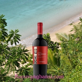 Rượu vang đỏ nhập khẩu chile UNDURRAGA FINCA LAS LOMAS RESERVA CABERNET SAUVIGNON 750 ml
