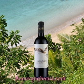 Rượu vang đỏ nhập khẩu Chile AVES DEL SUR GRAN RESERVA CABERNET SAUVIGNON 750 ml