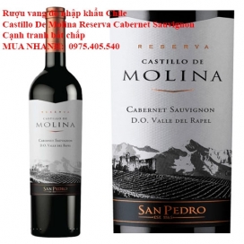 Rượu vang đỏ nhập khẩu Chile Castillo De Molina Reserva Cabernet Sauvignon Cạnh tranh bất chấp