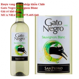 Rượu vang trắng nhập khẩu Chile Gato Negro Sauvignon Blanc Giá rẻ khô máu 