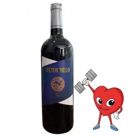 Rượu vang Tây Ban Nha HECTOR MELLO SYRAH 750ml - Giá cả bao phải chăng
