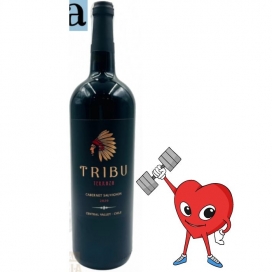Rượu vang đỏ CHILE Tribu Terraza 750ml - Giá cả cực kỳ cuốn hút