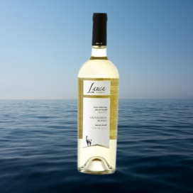 Rượu vang Chile LAUCA  Sauvignon Blanc  13.5% giá rẻ