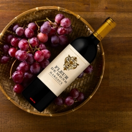 Vang đỏ Pháp FLEUR DE MONS Masgaux 13.5%