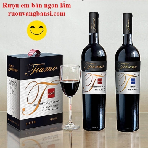 Rượu vang đỏ nhập khẩu Chile Tiamo Merlot chai 750ml 13%