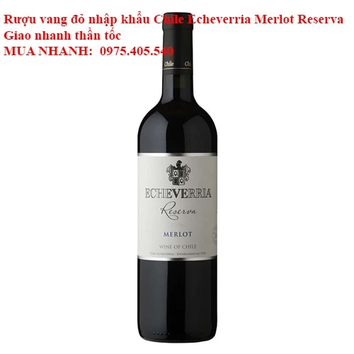 Rượu vang đỏ nhập khẩu Chile Echeverria Merlot Reserva Giao nhanh thần tốc 