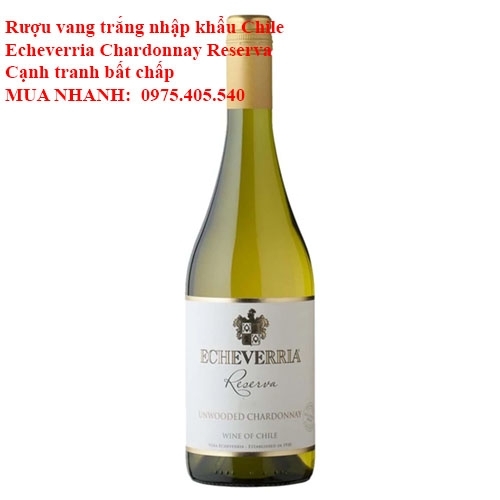 Rượu vang trắng nhập khẩu Chile Echeverria Chardonnay Reserva Cạnh tranh bất chấp