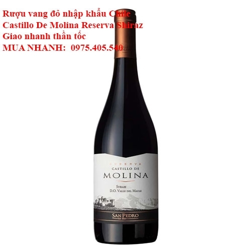 Rượu vang đỏ nhập khẩu Chile Castillo De Molina Reserva Shiraz Giao nhanh thần tốc 