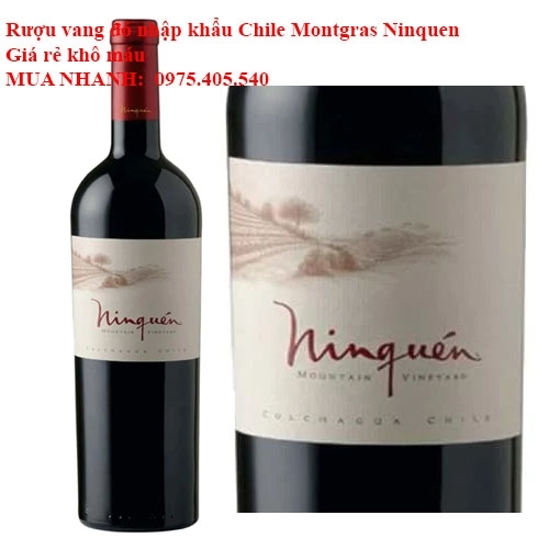 Rượu vang đỏ nhập khẩu Chile Montgras Ninquen Giá rẻ khô máu 