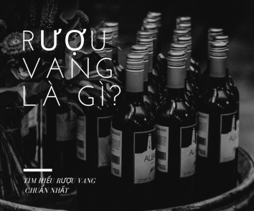 RƯỢU VANG LÀ GÌ? CÓ BAO NHIÊU LOẠI RƯỢU VANG?