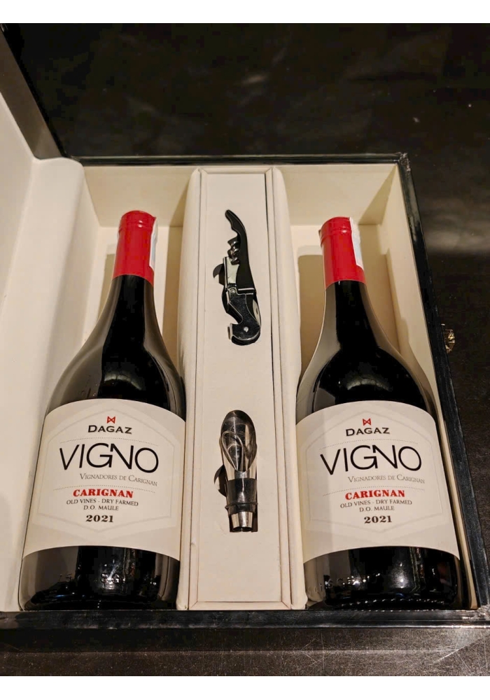Rượu vang Dagaz Vigno Carignan 2021 - Vang đỏ 14,5 độ - Nhập khẩu Chile