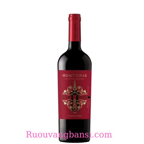 Rượu-vang-MONTGRAS-DAY-ONE-CARMENERE