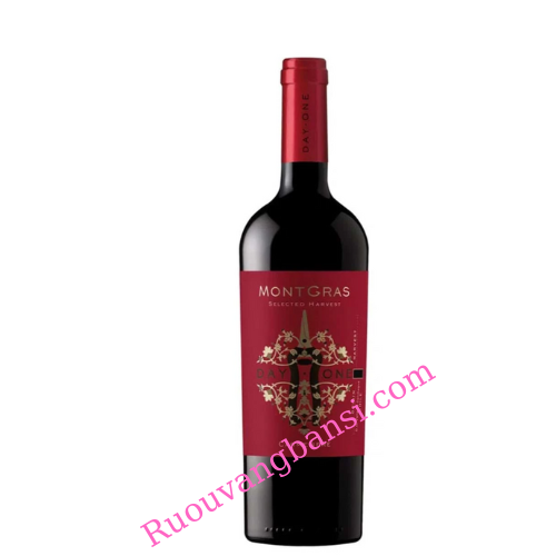 Rượu-vang-MONTGRAS-DAY-ONE-CARMENERE