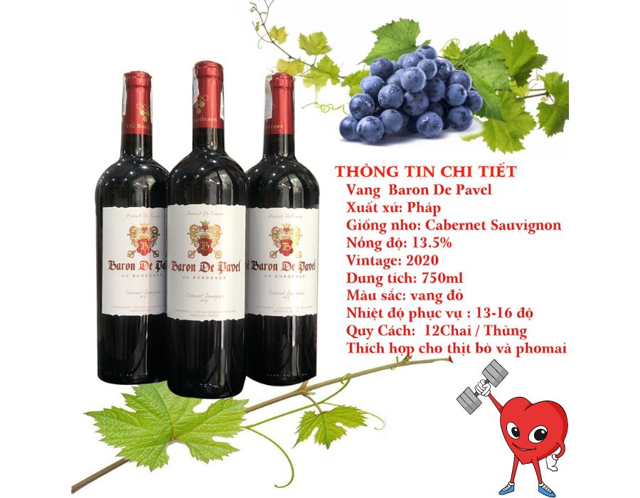 Rượu vang Pháp BARON DE PAVEL CAB SAU - Giá giảm không phanh