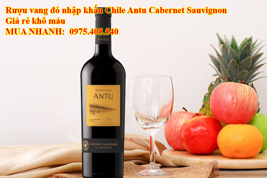 Rượu vang đỏ nhập khẩu Chile Antu Cabernet Sauvignon Giá rẻ khô máu 