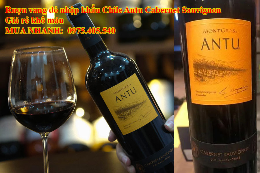 Rượu vang đỏ nhập khẩu Chile Antu Cabernet Sauvignon Giá rẻ khô máu 