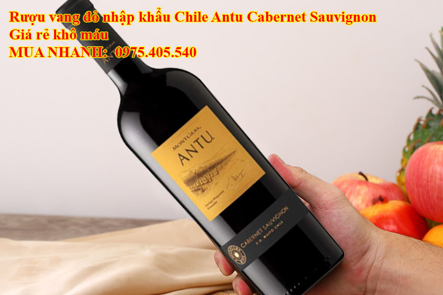 Rượu vang đỏ nhập khẩu Chile Antu Cabernet Sauvignon Giá rẻ khô máu 