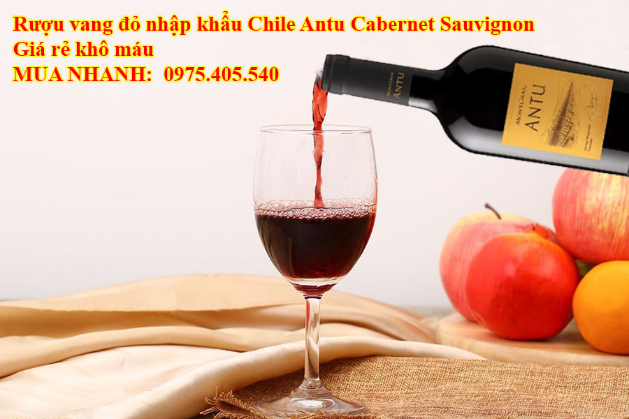 Rượu vang đỏ nhập khẩu Chile Antu Cabernet Sauvignon Giá rẻ khô máu 