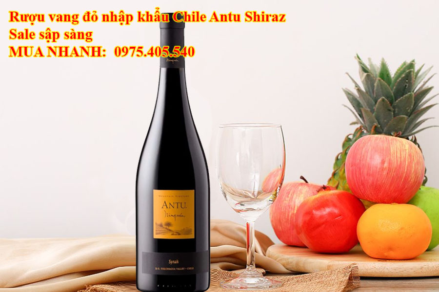 Rượu vang đỏ nhập khẩu Chile Antu Shiraz Sale sập sàng 