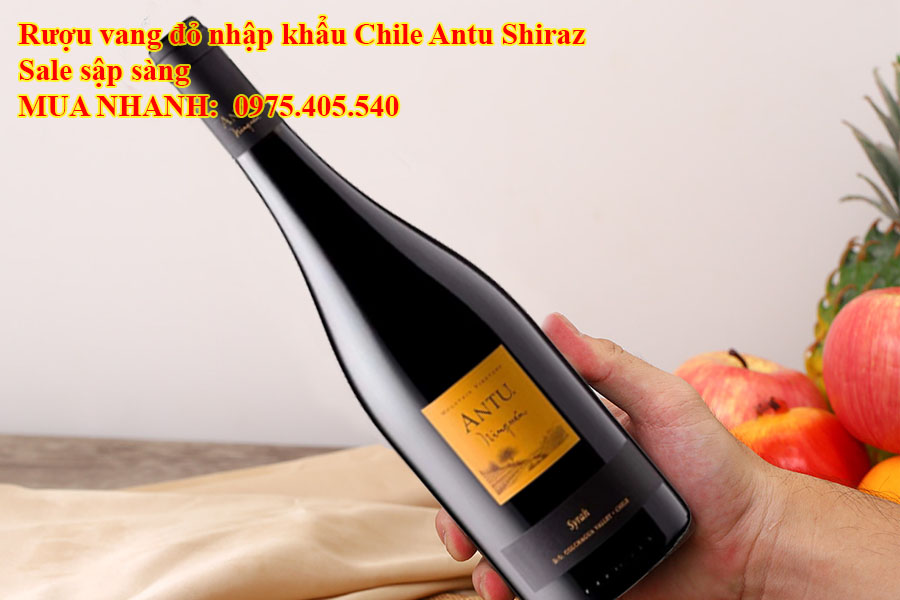 Rượu vang đỏ nhập khẩu Chile Antu Shiraz Sale sập sàng 
