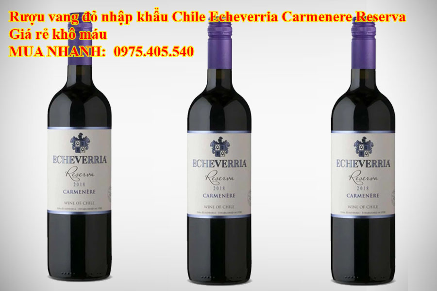 Rượu vang đỏ nhập khẩu Chile Echeverria Carmenere Reserva Giá rẻ khô máu 