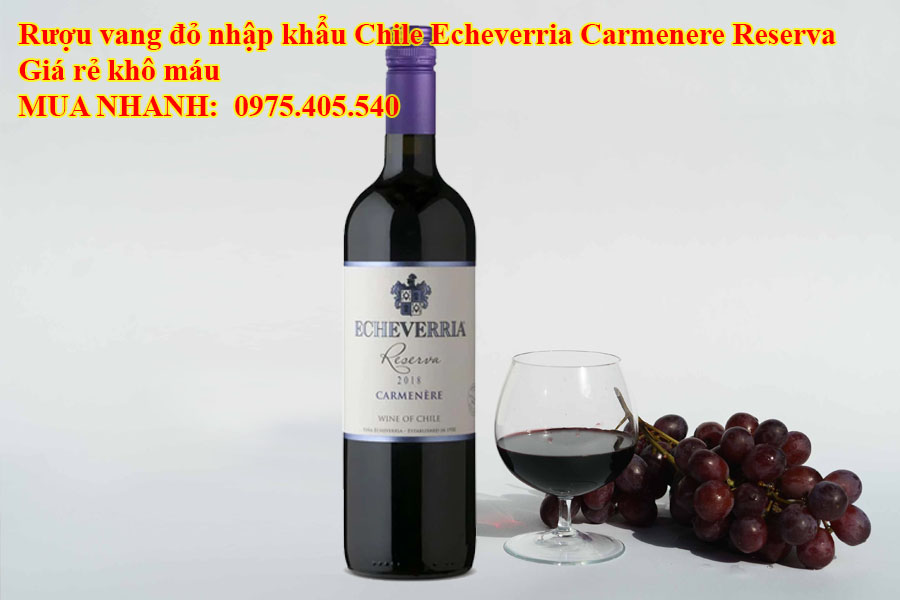 Rượu vang đỏ nhập khẩu Chile Echeverria Carmenere Reserva Giá rẻ khô máu 