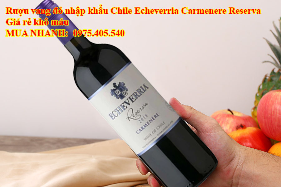 Rượu vang đỏ nhập khẩu Chile Echeverria Carmenere Reserva Giá rẻ khô máu 