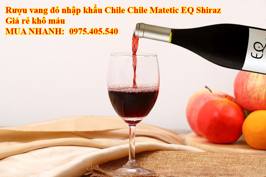 Rượu vang đỏ nhập khẩu Chile Matetic EQ Shiraz Giá rẻ khô máu 