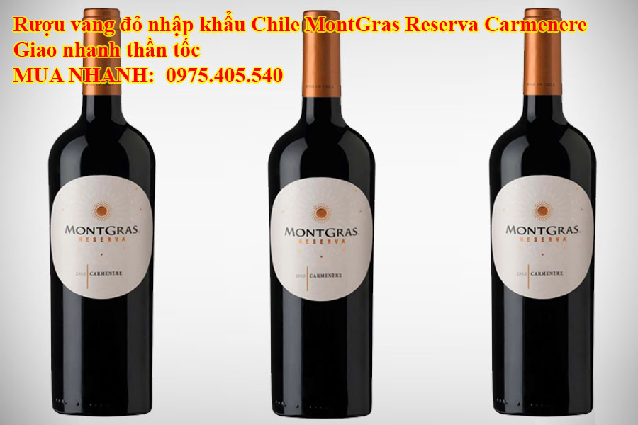 Rượu vang đỏ nhập khẩu Chile MontGras Reserva Carmenere Giao nhanh thần tốc 