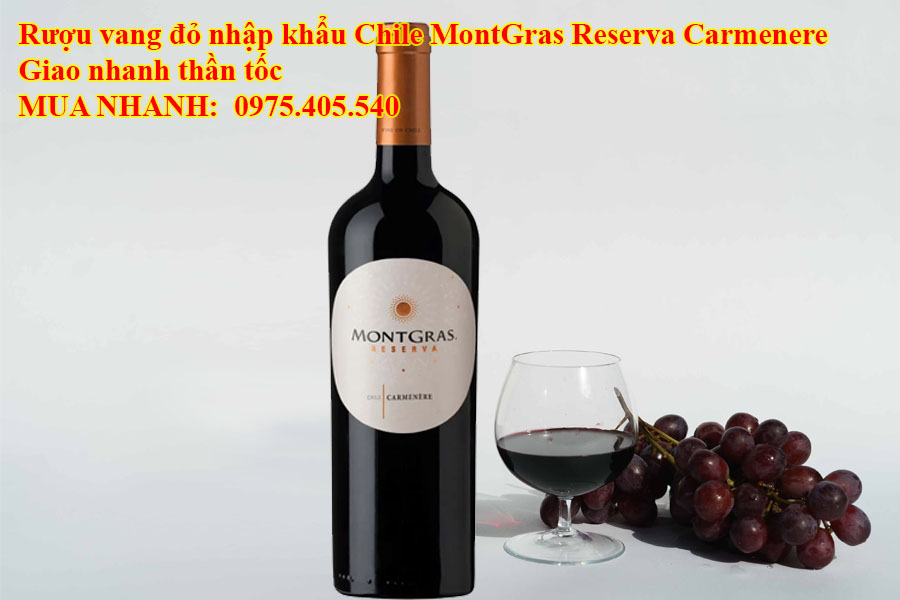 Rượu vang đỏ nhập khẩu Chile MontGras Reserva Carmenere Giao nhanh thần tốc 