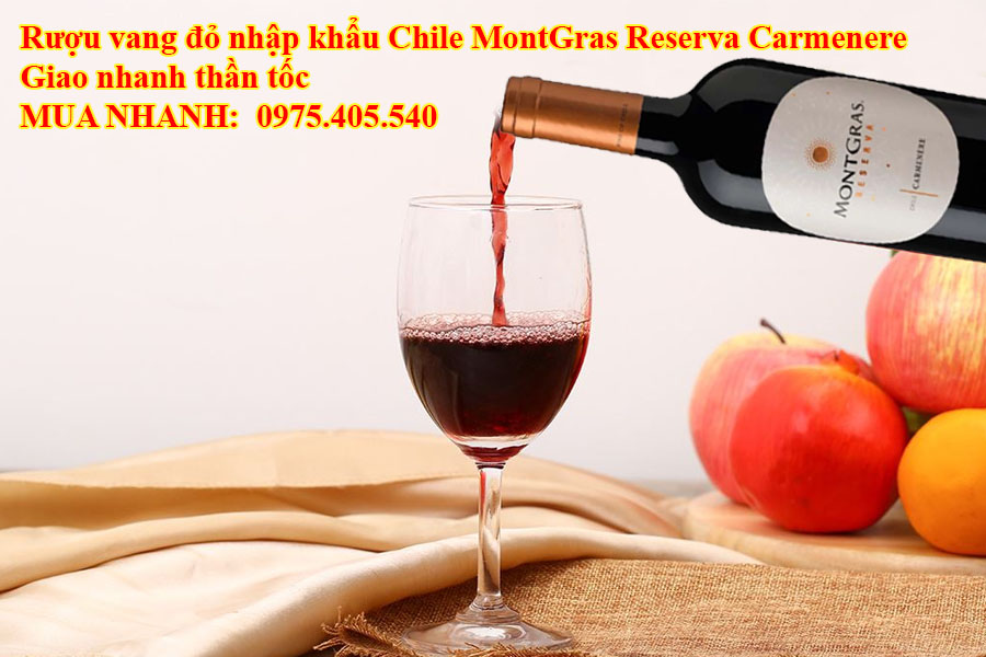 Rượu vang đỏ nhập khẩu Chile MontGras Reserva Carmenere Giao nhanh thần tốc 