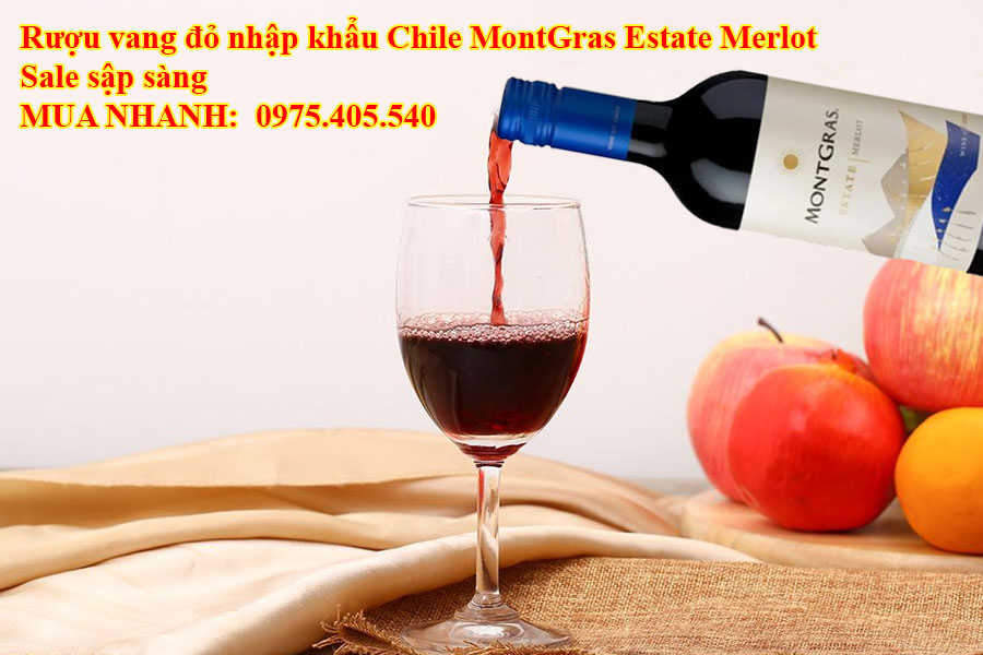 Rượu vang đỏ nhập khẩu Chile MontGras Estate Merlot Sale sập sàng 