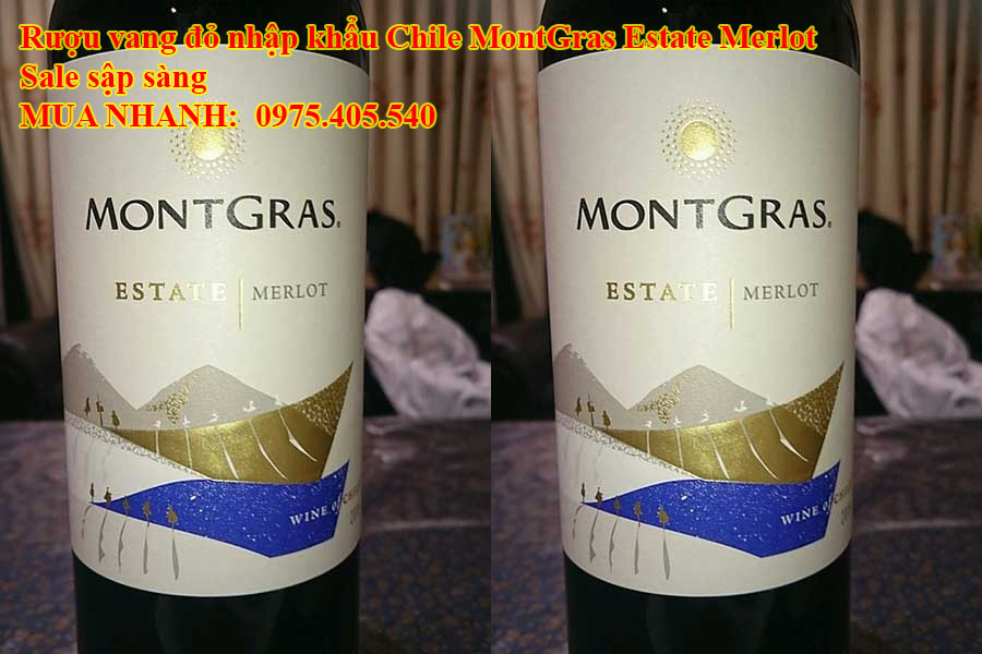 Rượu vang đỏ nhập khẩu Chile MontGras Estate Merlot Sale sập sàng 