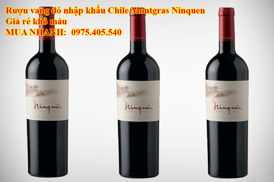 Rượu vang đỏ nhập khẩu Chile Montgras Ninquen Giá rẻ khô máu 