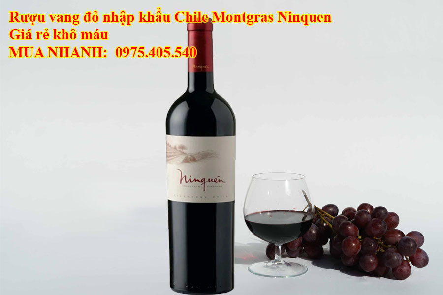 Rượu vang đỏ nhập khẩu Chile Montgras Ninquen Giá rẻ khô máu 